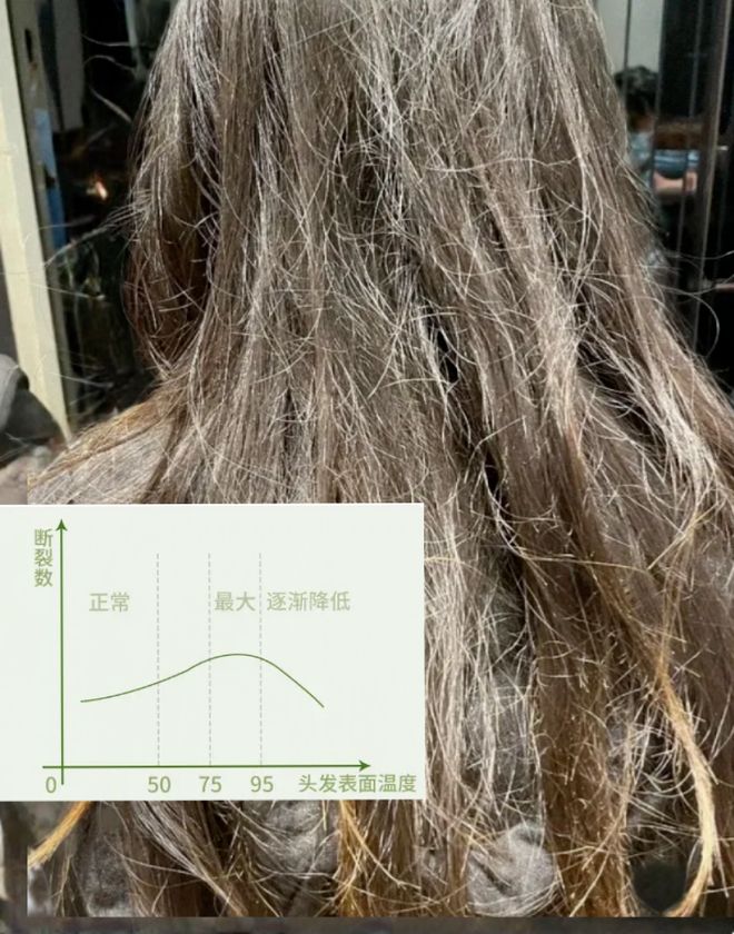 吹风机就不配有一头秀发了？不朽情缘平台用不起好几千的(图28)