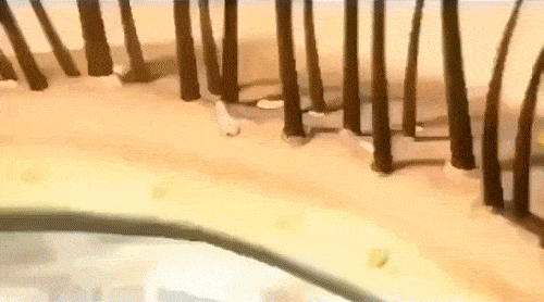 ”入冬洗头干发神器！养出女明星绸缎发！mg不朽情缘游戏网站国产变态“抽水帽(图10)