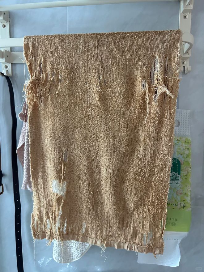 换了？这种毛巾建议马上换掉不朽情缘版你家的毛巾多久没(图3)